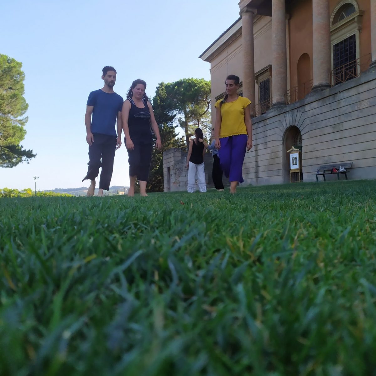 archivio zeta